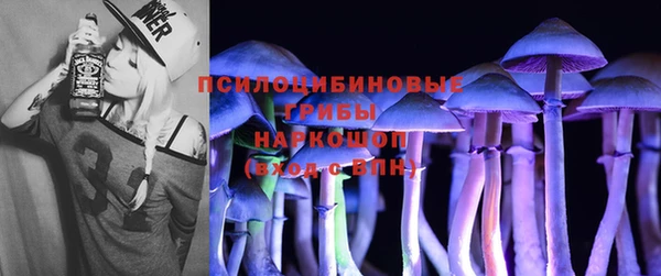 соль курить ск Алзамай