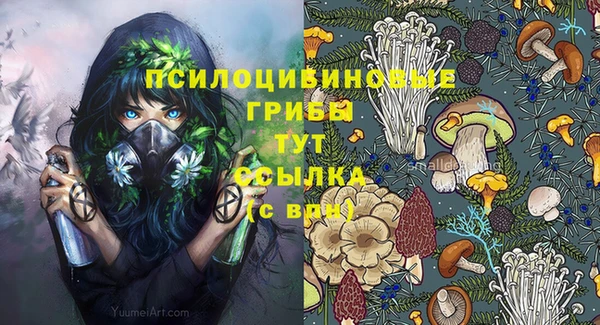 соль курить ск Алзамай