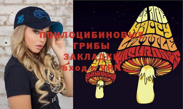 соль курить ск Алзамай