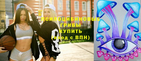 соль курить ск Алзамай